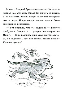 Karvade loodude kogumik. Hau! Kolm lugu kutsikest