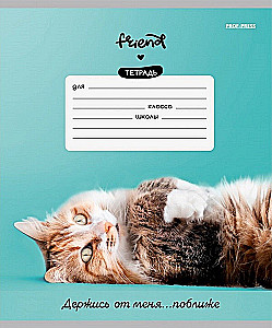 Тетрадь A5 - Котики и фразы, 12 листов, косая линия, в ассортименте