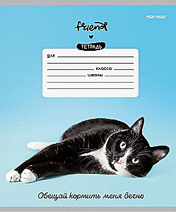 Тетрадь A5 - Котики и фразы, 12 листов, косая линия, в ассортименте
