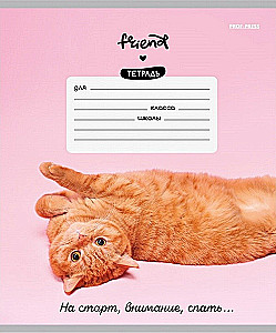 Тетрадь A5 - Котики и фразы, 12 листов, косая линия, в ассортименте