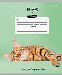 Тетрадь A5 - Котики и фразы, 12 листов, косая линия, в ассортименте