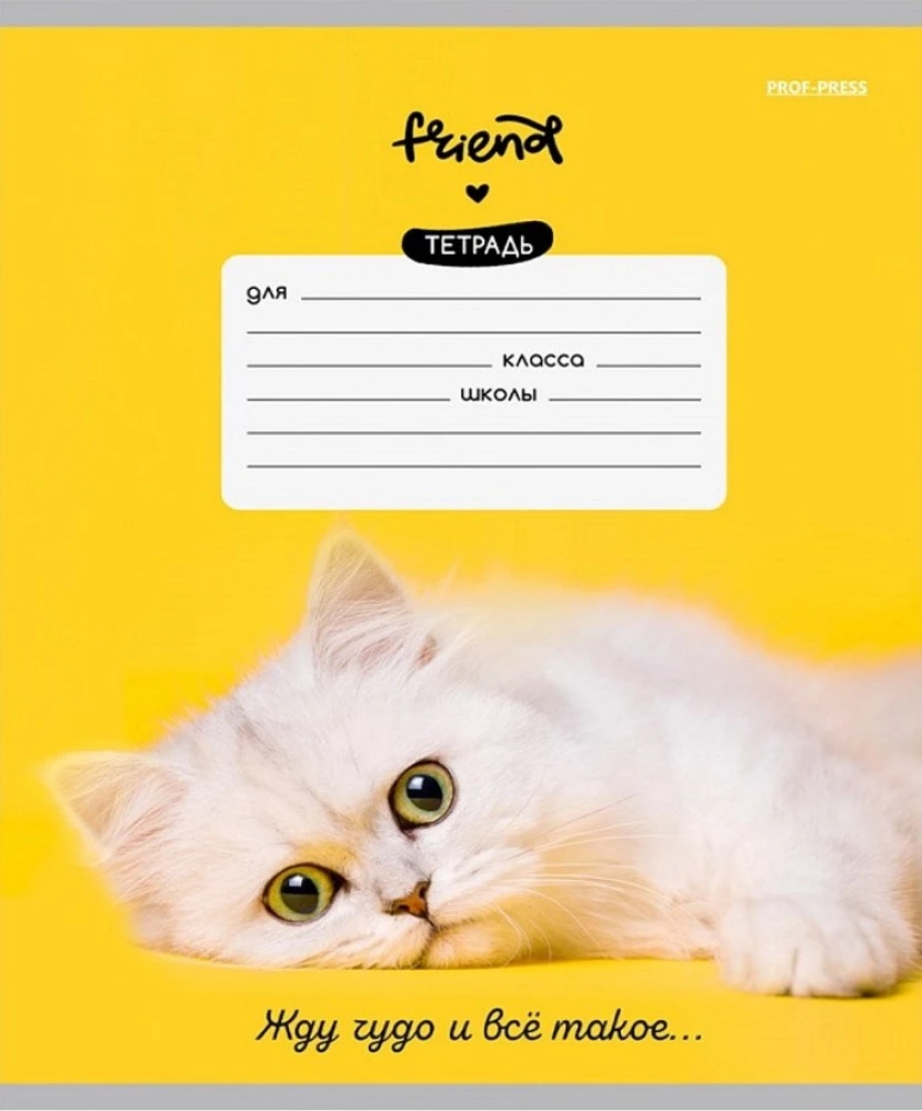 Тетрадь A5 - Котики и фразы, 12 листов, косая линия, в ассортименте