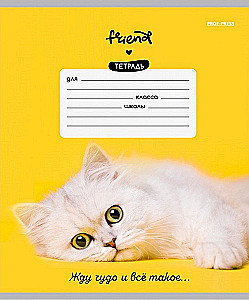 Тетрадь A5 - Котики и фразы, 12 листов, косая линия, в ассортименте