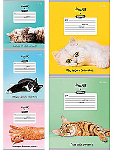 Тетрадь A5 - Котики и фразы, 12 листов, косая линия, в ассортименте
