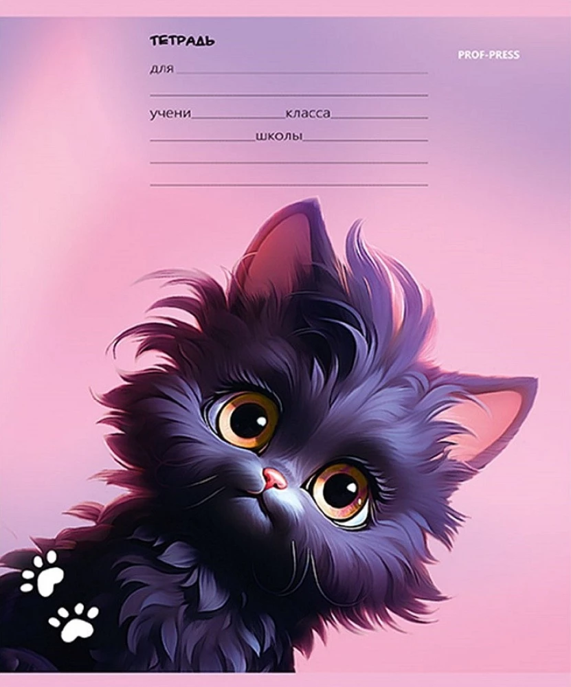 Notatnik A5 - Czarny kotek, 12 kartek, linia, w asortymencie