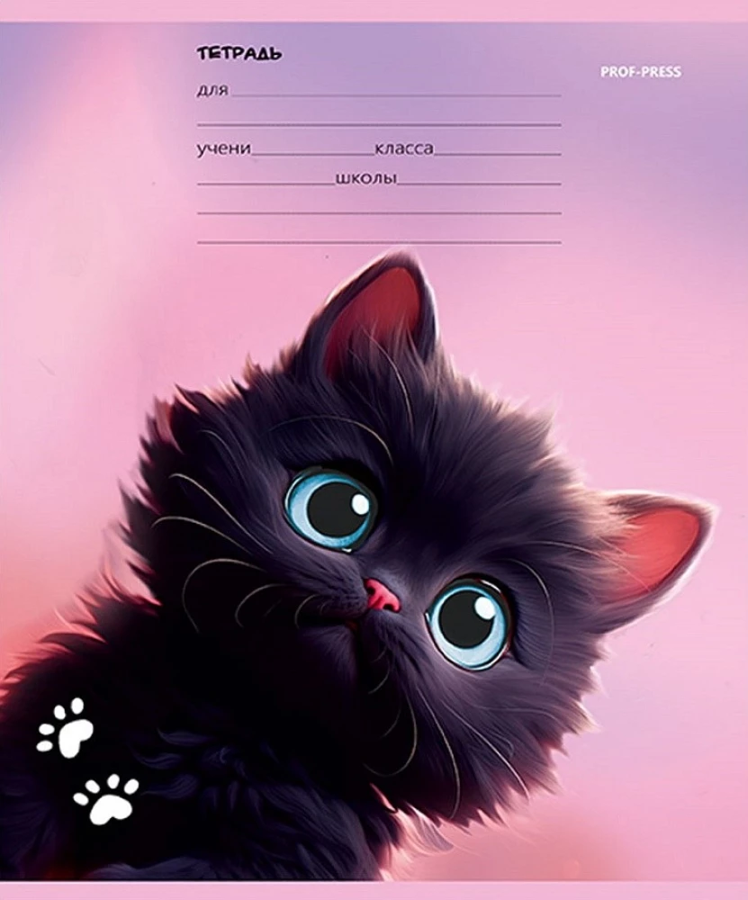 Notatnik A5 - Czarny kotek, 12 kartek, linia, w asortymencie