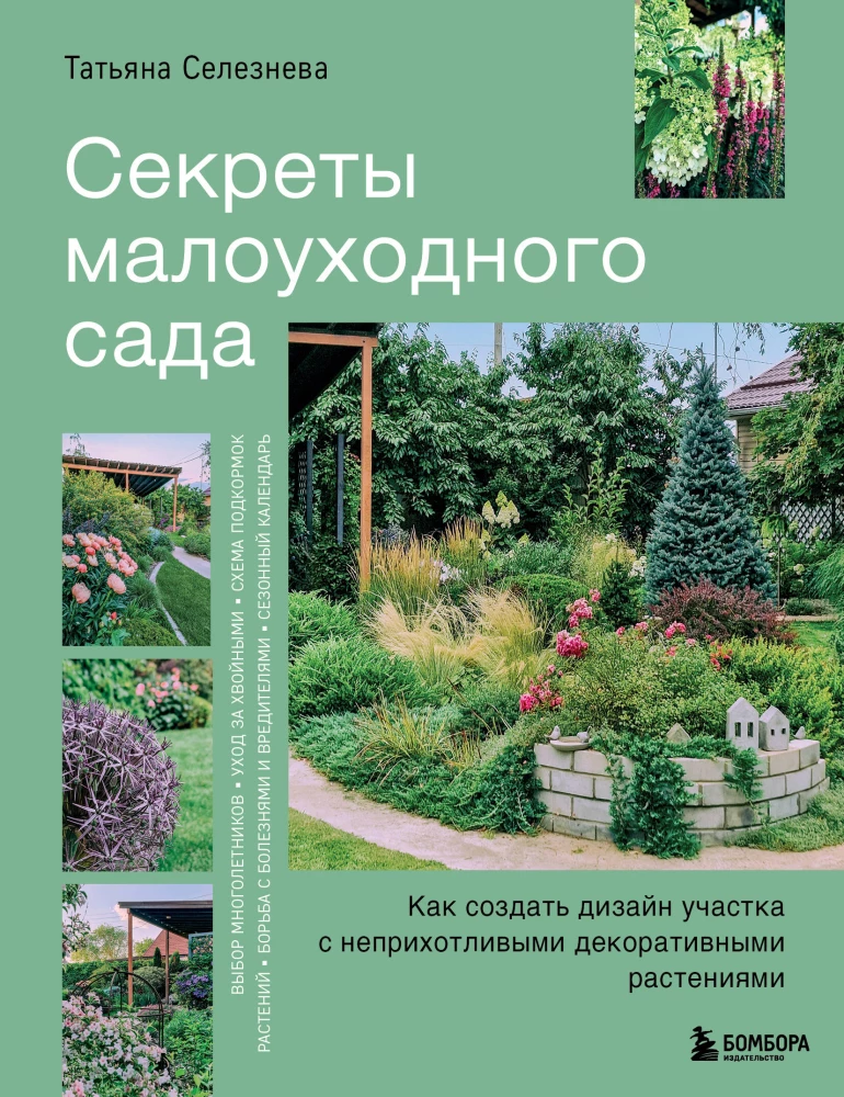 Secrets of a low-maintenance garden. How to create a design for a plot with unpretentious decorative plants