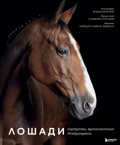 Horses. Portraits Inspired by Rembrandt. Exclusive Photo Album