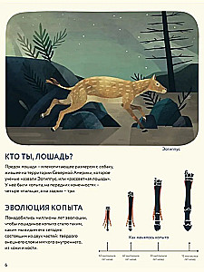 Žirgai. Laukiniai ir prijaukinti