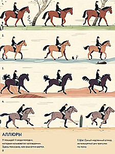 Žirgai. Laukiniai ir prijaukinti