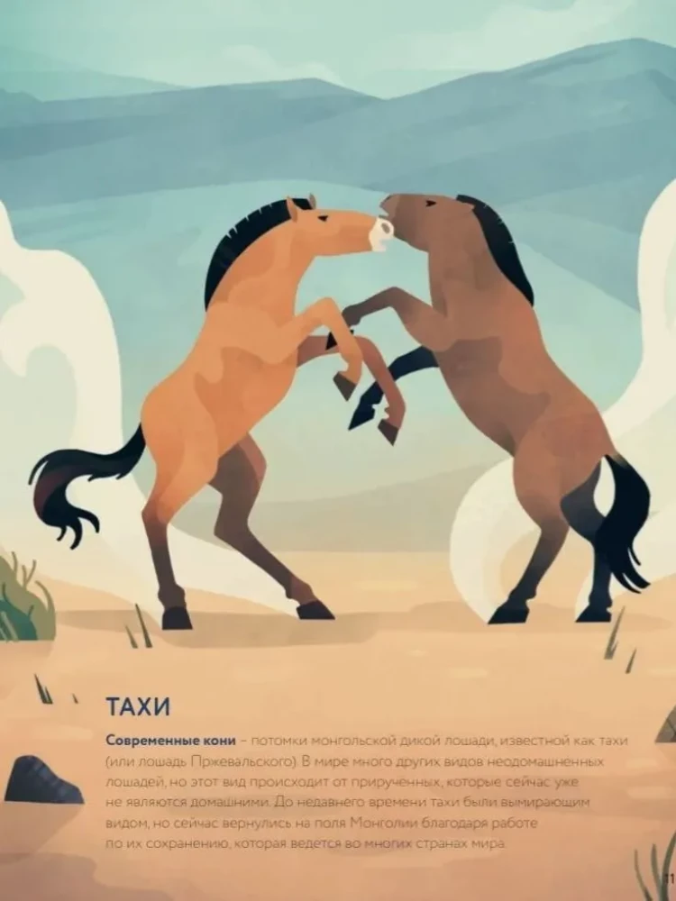 Žirgai. Laukiniai ir prijaukinti