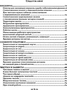 Szkoła Kruka i Wilka. Oczyszczenia i ochrona. Tom 15