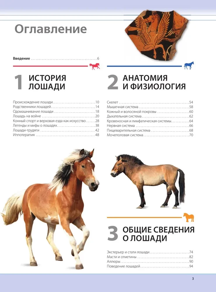 Konie. Najpełniejsza ilustrowana encyklopedia