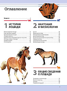 Konie. Najpełniejsza ilustrowana encyklopedia