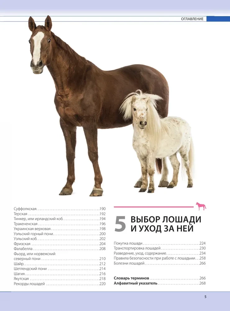 Konie. Najpełniejsza ilustrowana encyklopedia