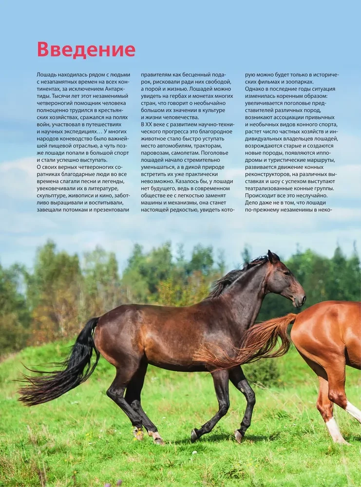 Konie. Najpełniejsza ilustrowana encyklopedia