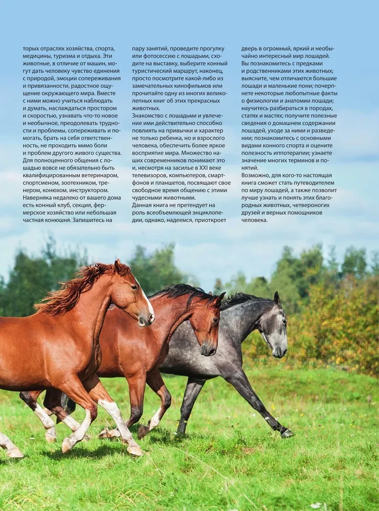 Konie. Najpełniejsza ilustrowana encyklopedia