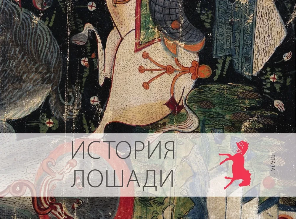 Konie. Najpełniejsza ilustrowana encyklopedia