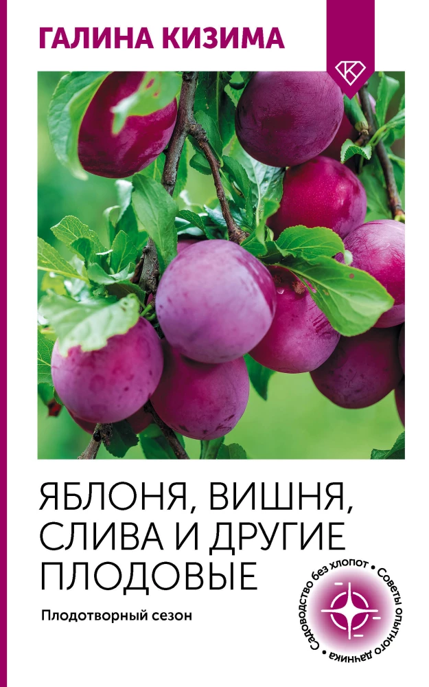 Apple tree, cherry, plum and other fruit trees. Fruitful season