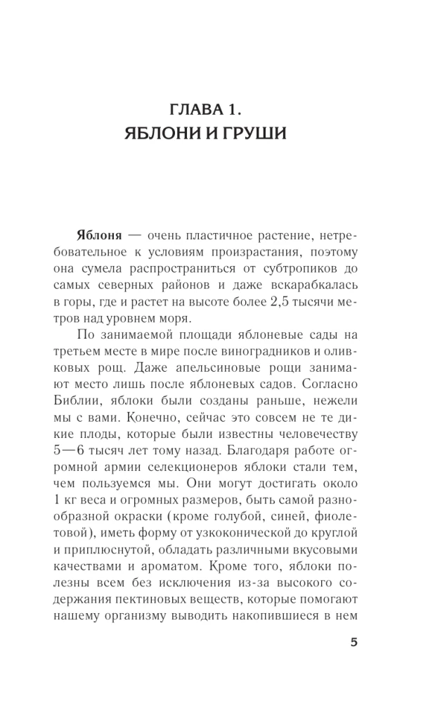 Apple tree, cherry, plum and other fruit trees. Fruitful season