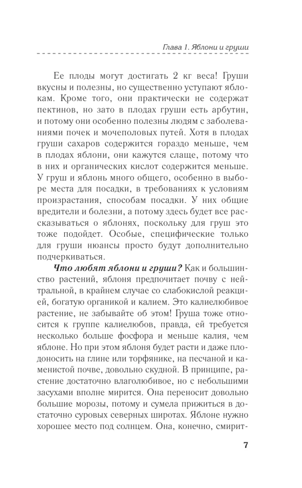 Apple tree, cherry, plum and other fruit trees. Fruitful season