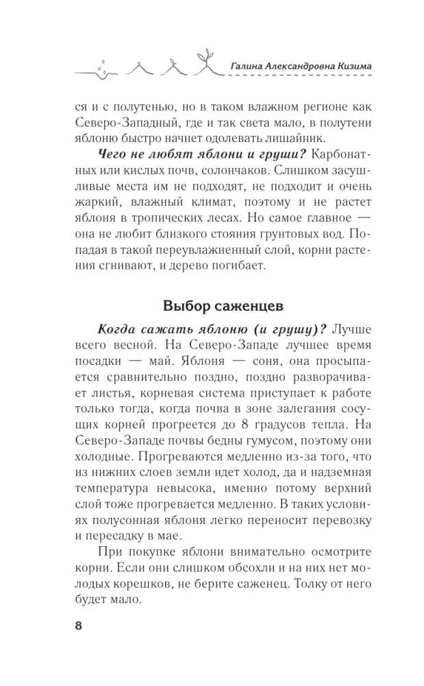 Apple tree, cherry, plum and other fruit trees. Fruitful season