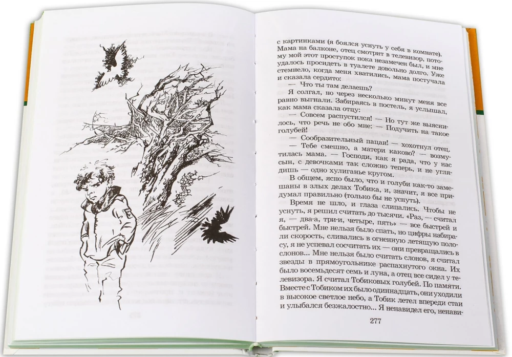 Weißes Pferd - Das Unglück gehört mir nicht