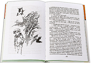 Weißes Pferd - Das Unglück gehört mir nicht