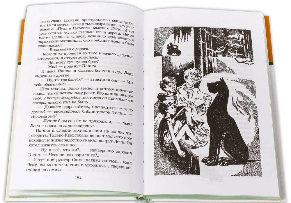 Weißes Pferd - Das Unglück gehört mir nicht