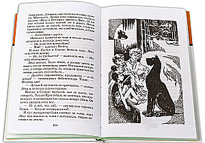 Weißes Pferd - Das Unglück gehört mir nicht