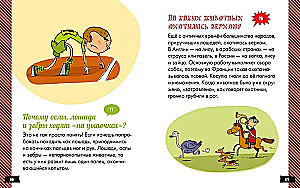 А почему зебры полосатые?