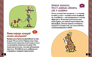 А почему зебры полосатые?