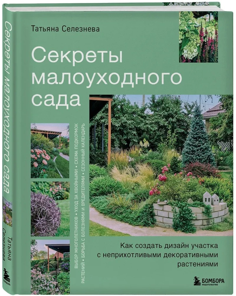 Secrets of a low-maintenance garden. How to create a design for a plot with unpretentious decorative plants