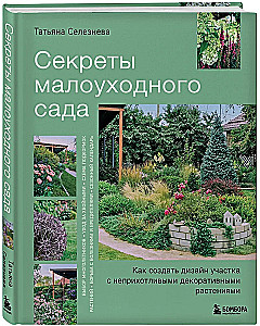 Secrets of a low-maintenance garden. How to create a design for a plot with unpretentious decorative plants