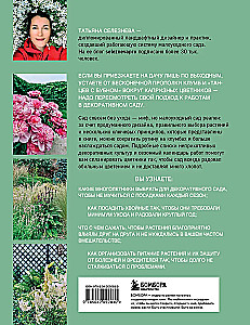 Secrets of a low-maintenance garden. How to create a design for a plot with unpretentious decorative plants