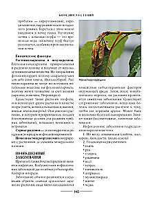 Secrets of a low-maintenance garden. How to create a design for a plot with unpretentious decorative plants