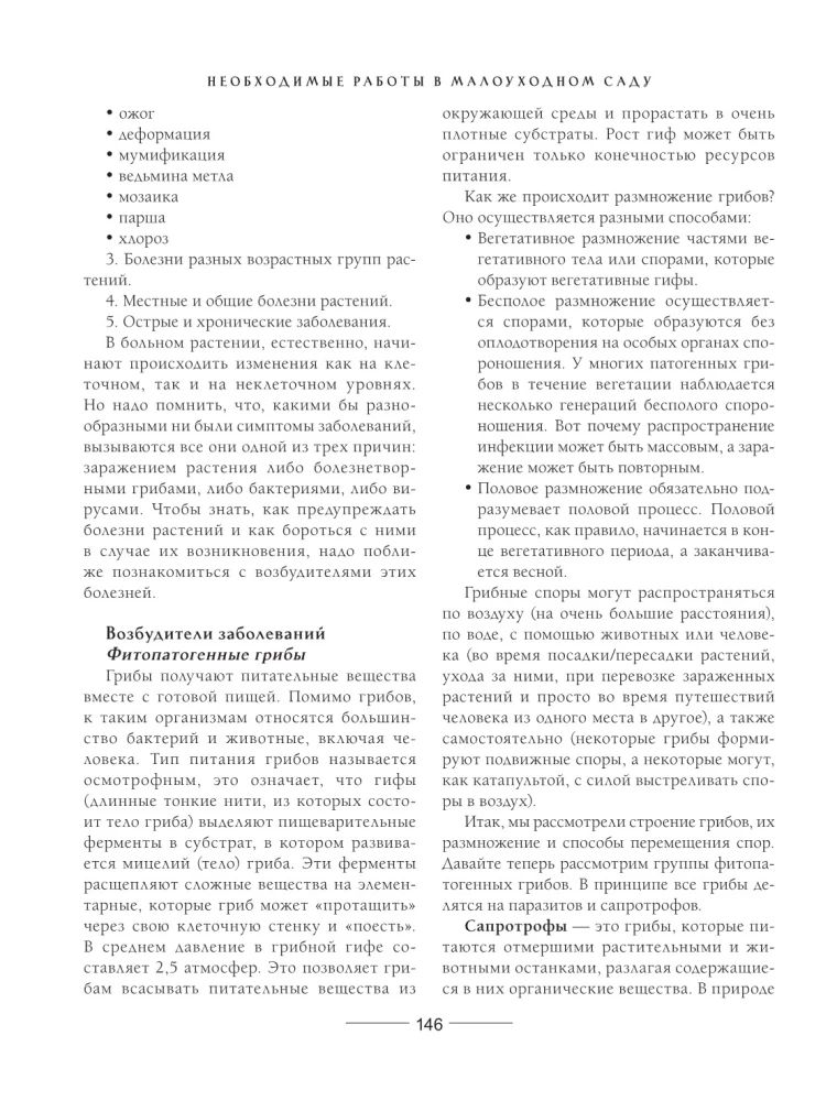 Secrets of a low-maintenance garden. How to create a design for a plot with unpretentious decorative plants