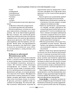 Secrets of a low-maintenance garden. How to create a design for a plot with unpretentious decorative plants