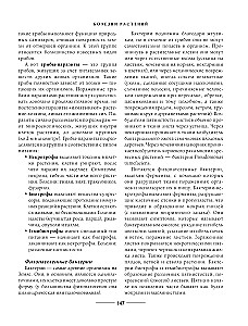 Secrets of a low-maintenance garden. How to create a design for a plot with unpretentious decorative plants