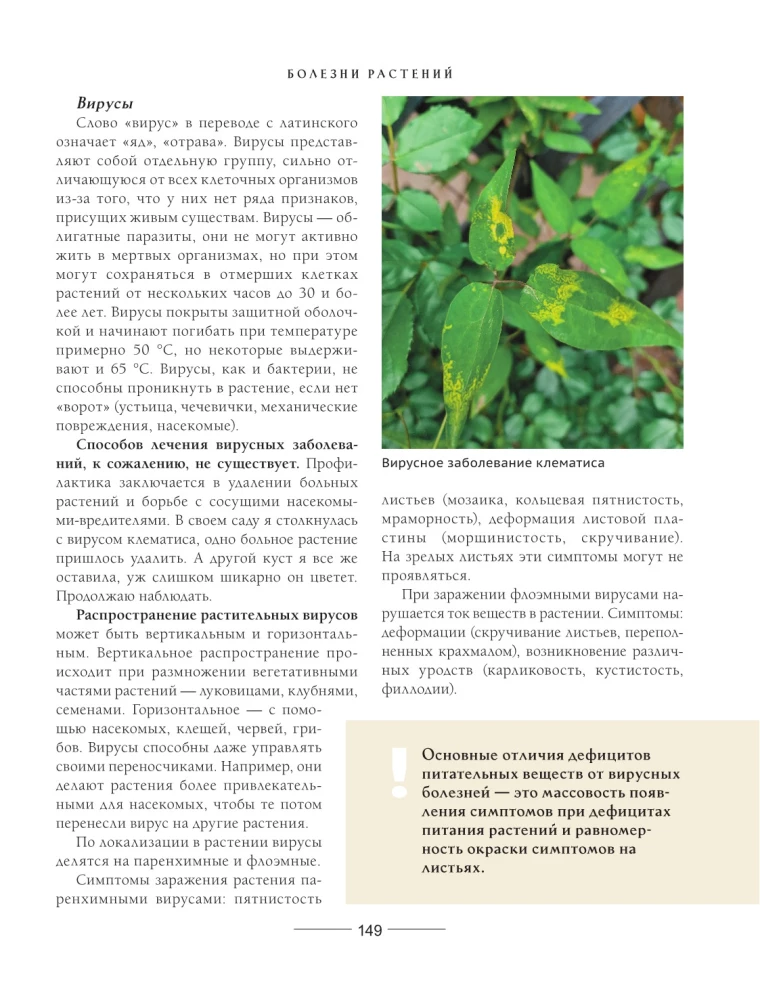 Secrets of a low-maintenance garden. How to create a design for a plot with unpretentious decorative plants