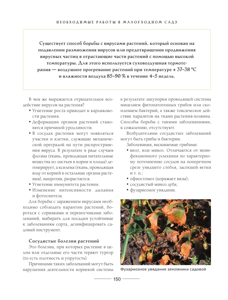 Secrets of a low-maintenance garden. How to create a design for a plot with unpretentious decorative plants