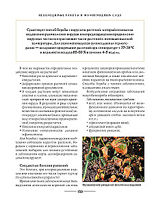 Secrets of a low-maintenance garden. How to create a design for a plot with unpretentious decorative plants