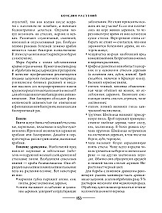 Secrets of a low-maintenance garden. How to create a design for a plot with unpretentious decorative plants