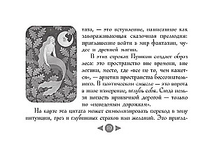 Русская душа. Метафорические карты для любителей книжной классики (56 карт, инструкция)
