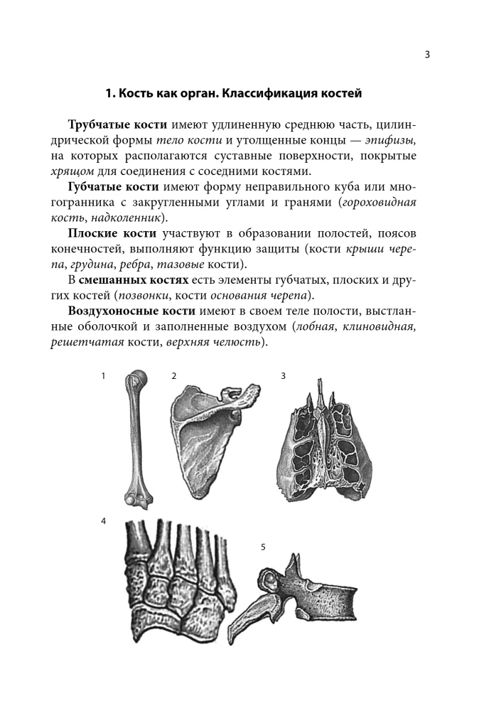 Anatomy Cheat Sheet