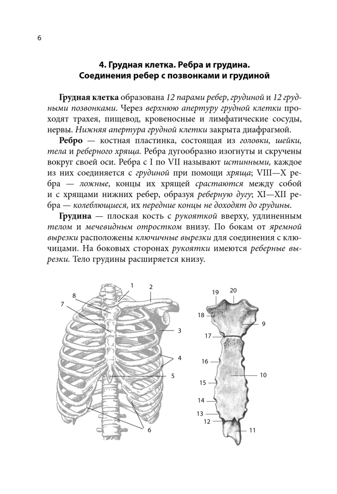 Anatomy Cheat Sheet