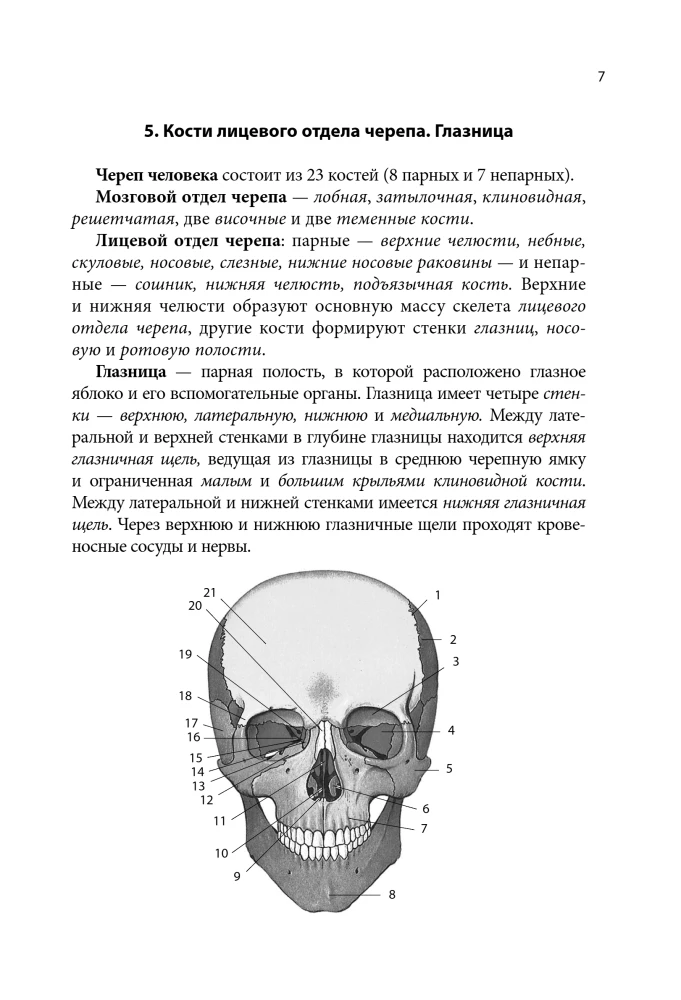 Anatomy Cheat Sheet