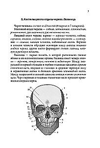 Anatomy Cheat Sheet