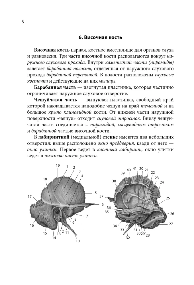 Anatomy Cheat Sheet