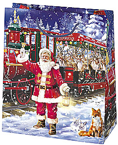 Gift bag 19x23x10.5 cm, assorted